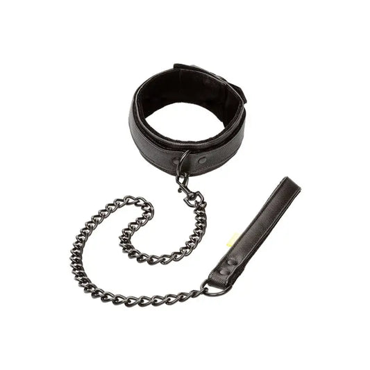 Boundless Collar with Detachable Leash and Secure Buckle Closure