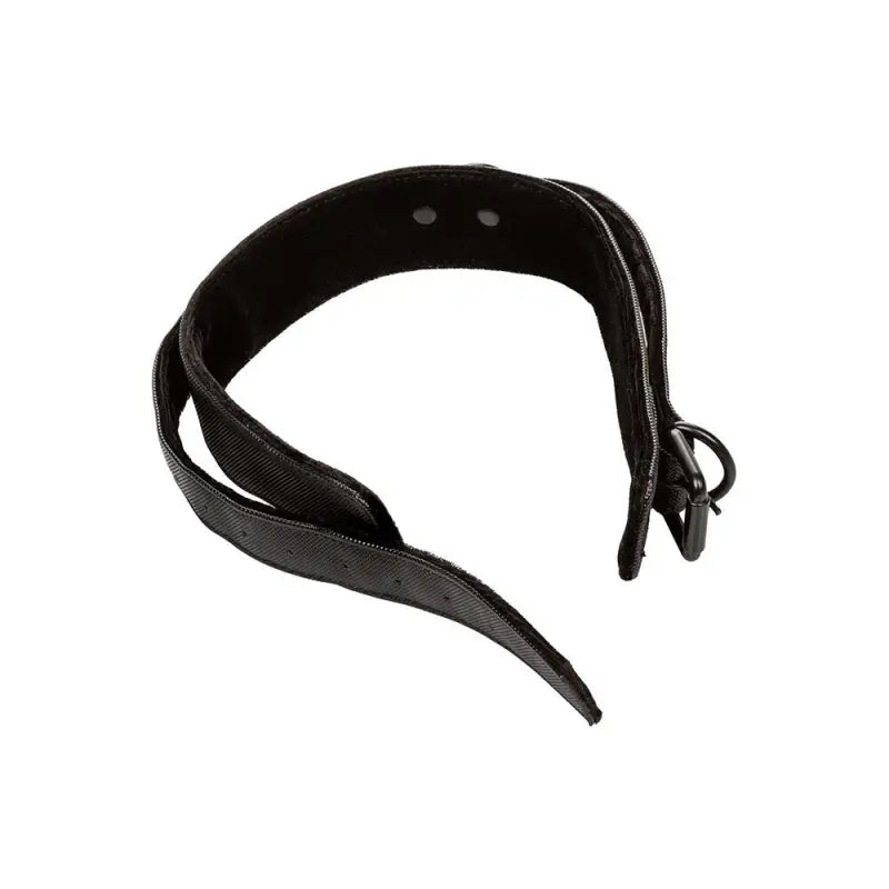 Boundless Collar with Detachable Leash and Secure Buckle Closure