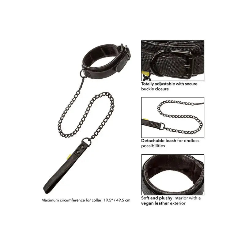 Boundless Collar with Detachable Leash and Secure Buckle Closure