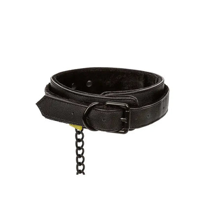 Boundless Collar with Detachable Leash and Secure Buckle Closure