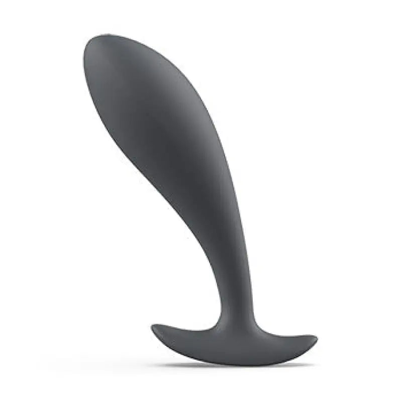 Bswish Bfilled Basic Slate Prostate Massager for Anal Exploration