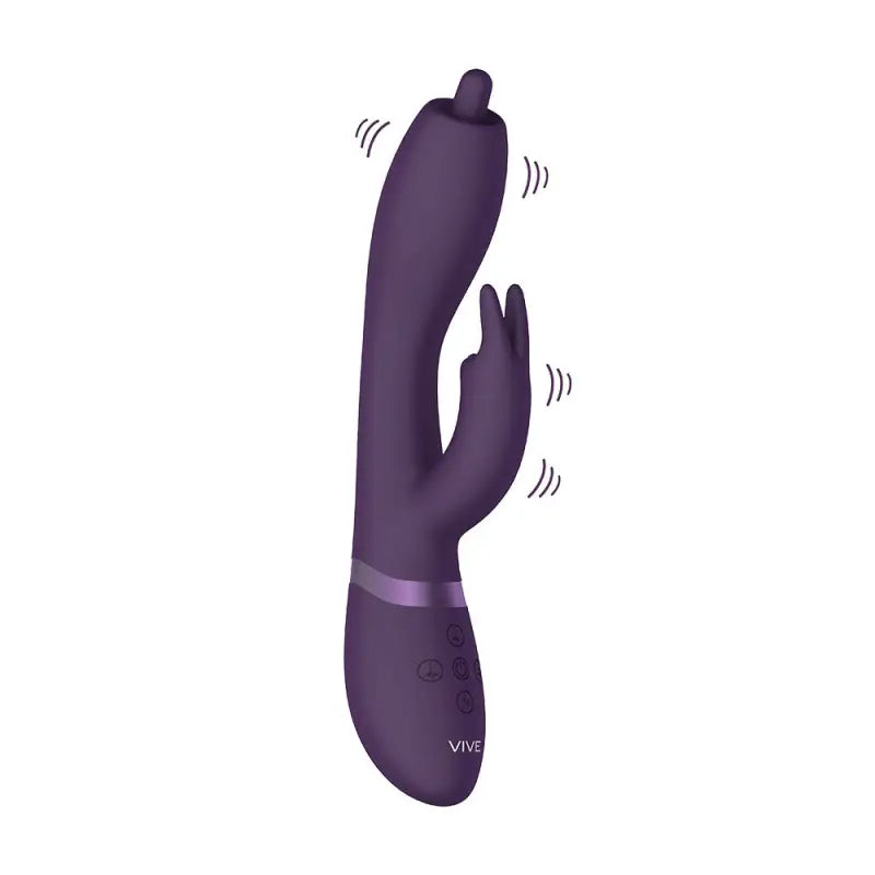 Discover Vive Nilo Purple Pinpoint Rotating G Spot Rabbit Vibrator