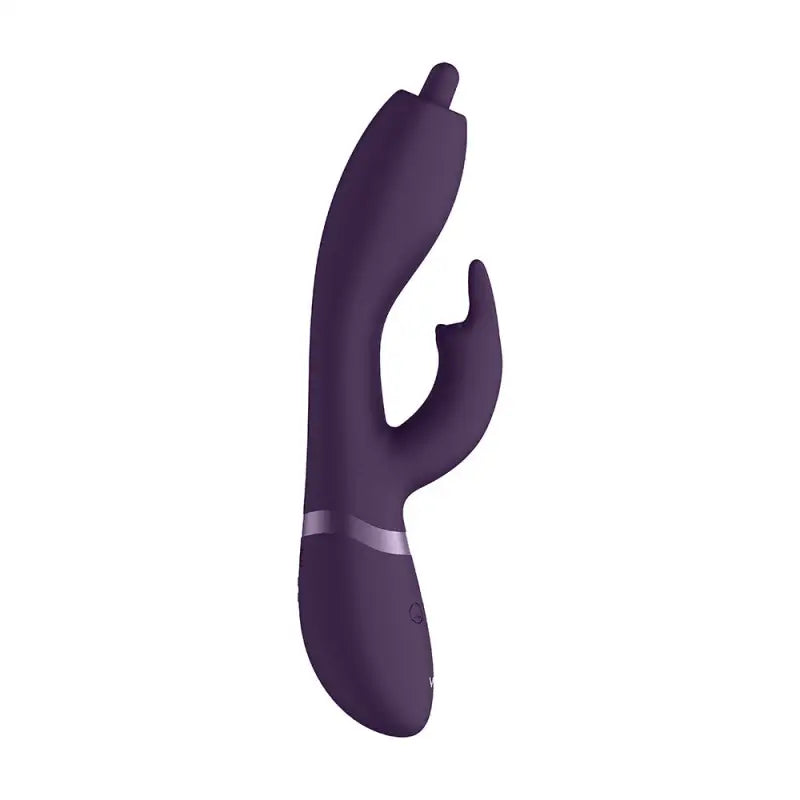 Discover Vive Nilo Purple Pinpoint Rotating G Spot Rabbit Vibrator