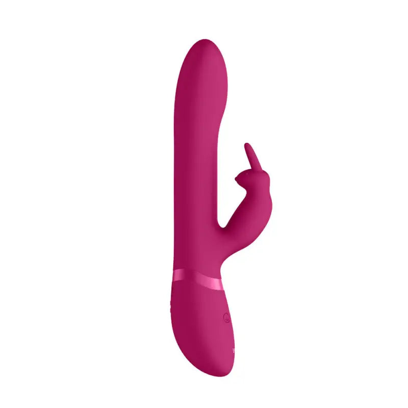 Experience Bliss with the Vive Amoris Pink Rabbit Vibrator