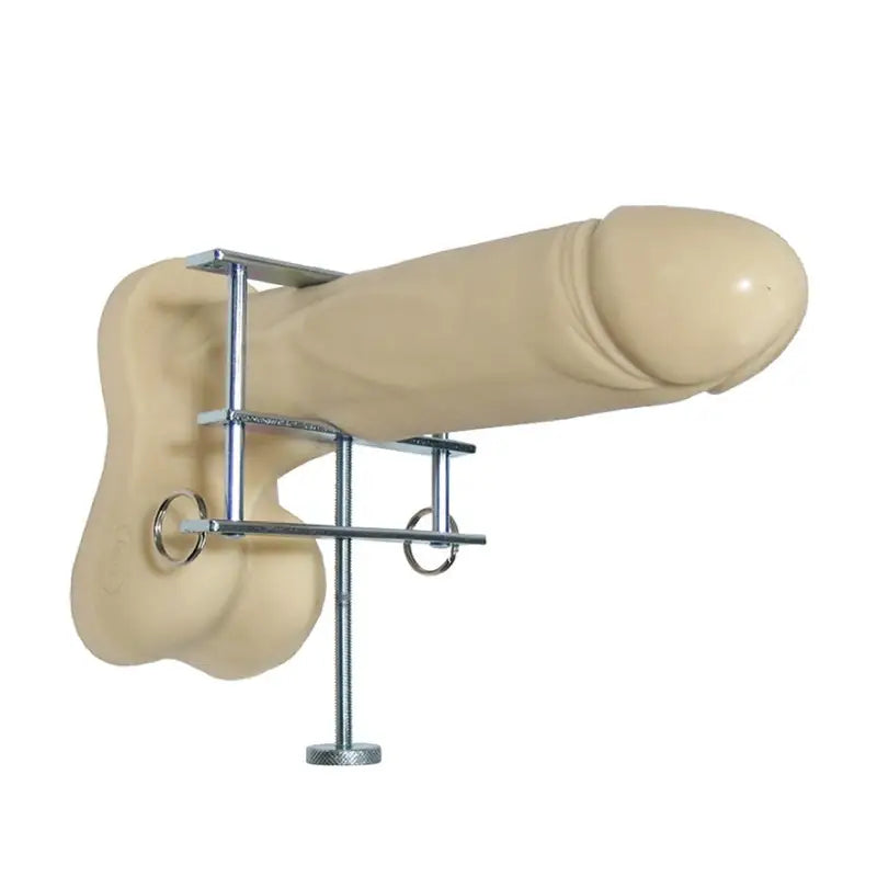 Metal Penis and Ball Crusher for Enhanced Bondage Pleasure