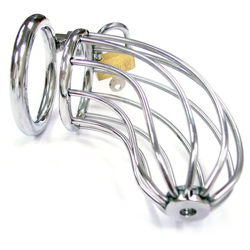 Rouge Stainless Steel Chastity Cock Cage for Ultimate Bondage Gear