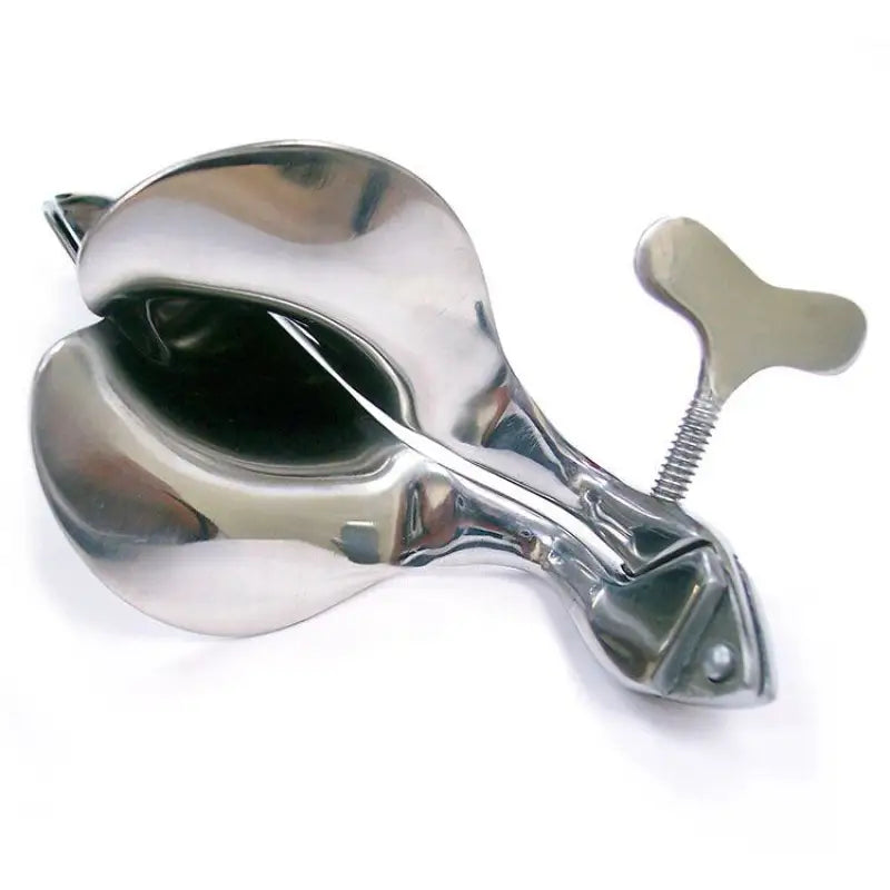 Rouge Stainless Steel Speculum Large for BDSM and Sensual Play