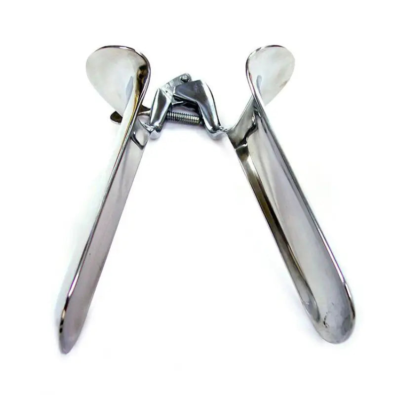 Rouge Stainless Steel Speculum Large for BDSM and Sensual Play